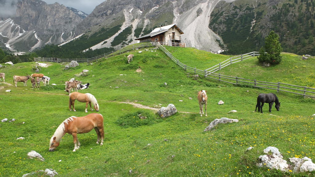 Garni Le Chalet Santa Cristina Val Gardena Exterior photo