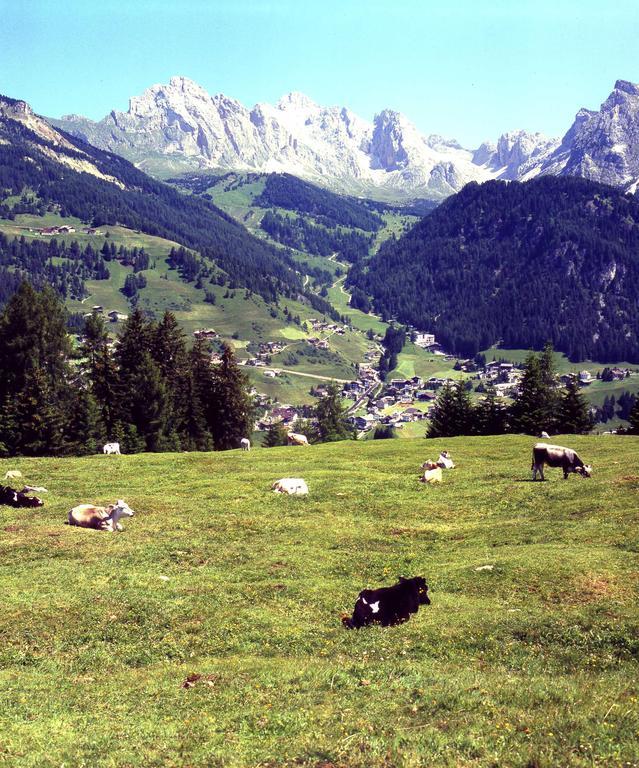 Garni Le Chalet Santa Cristina Val Gardena Exterior photo