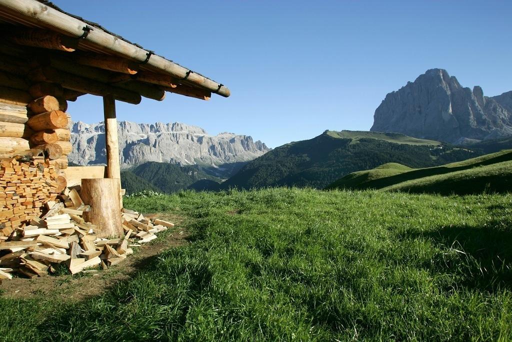 Garni Le Chalet Santa Cristina Val Gardena Exterior photo